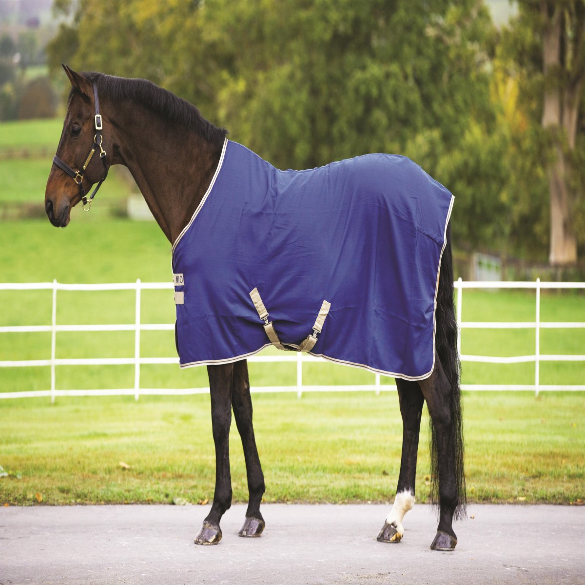 Horseware Mio Stable sheet. Helt tyndt stald dækken